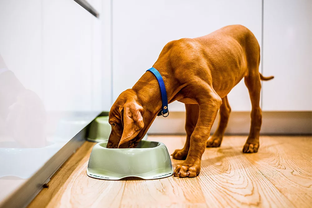 BSM Partners calls out ‘flawed’ research